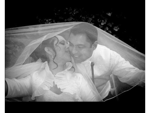 Románticas fotografías