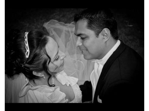 Sesión fotográfica de los novios