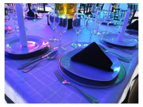 Excelente presentación en mesa