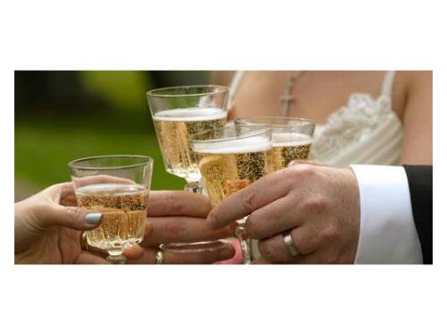 Brindis de los novios