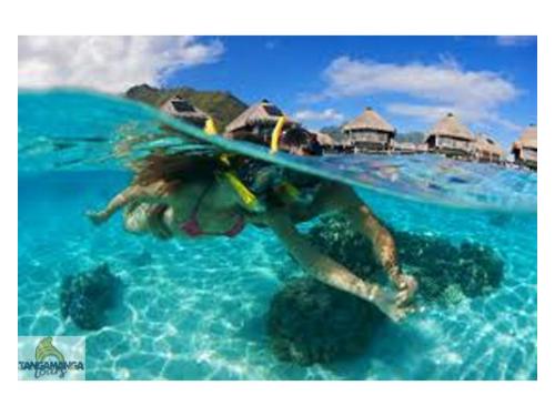 Variedad de actividades