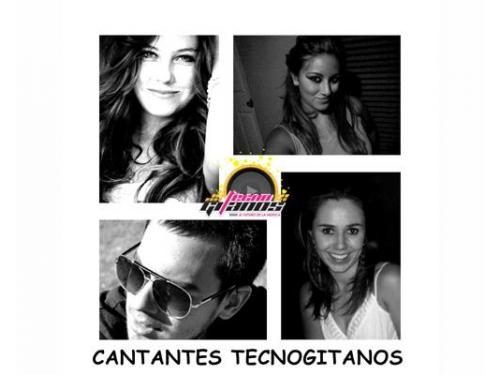 Cantantes profesionales