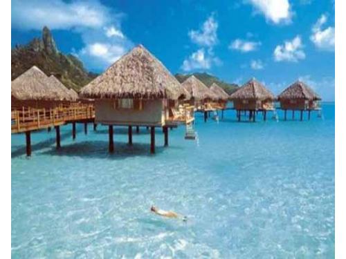 Sueños hechos realidad