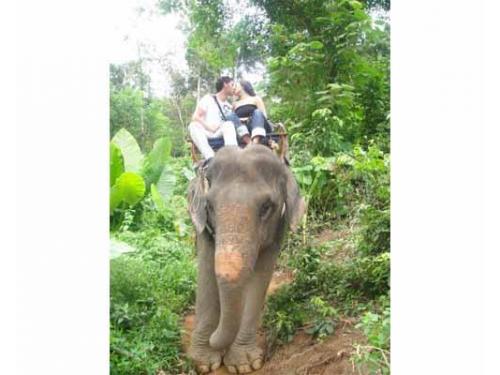 En contacto con la naturaleza