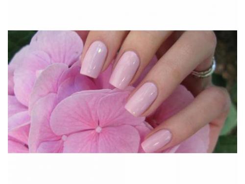 Servicio a domicilio