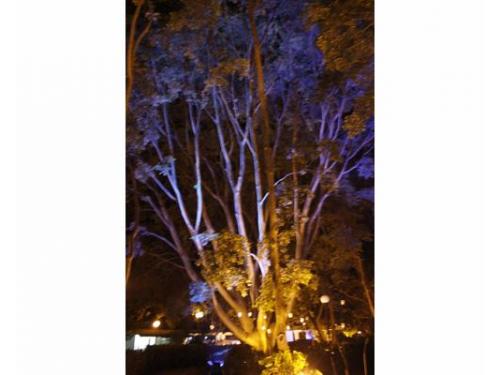 Iluminación en tu evento