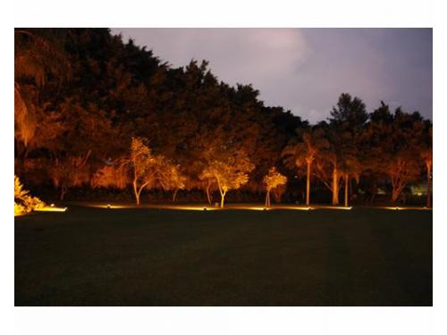 Iluminación en amplio jardín