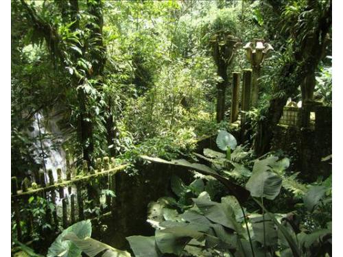 Convive con la naturaleza pozas edward james