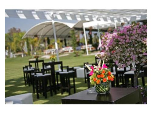 Sillas y mesas periqueras