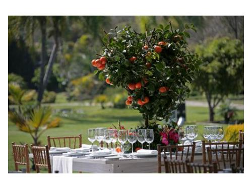 Originales centros de mesa