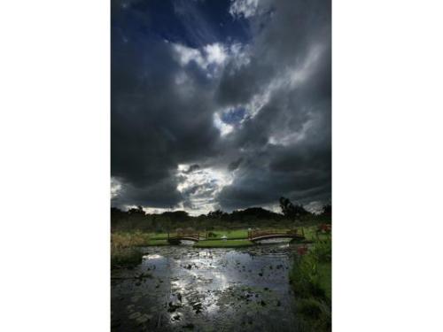 Jardín para tu boda