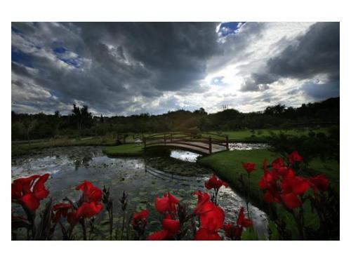 Rodeado de naturaleza