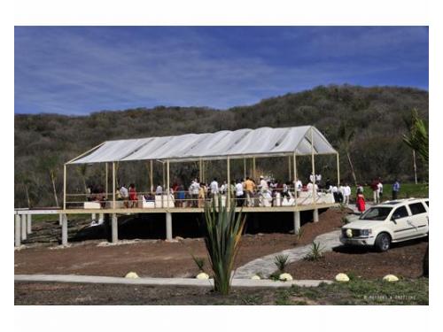 Apasionados de las bodas