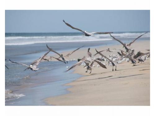 Las hermosas playas de acapulco