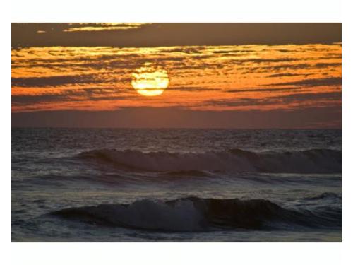 Disfruta el contacto con la naturaleza