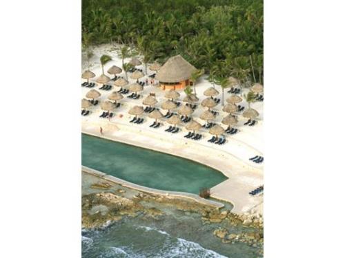 Vista de las papalapas