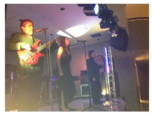 Músicos profesionales