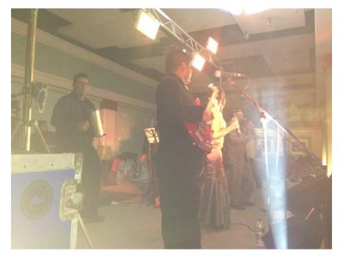 Diversidad de géneros