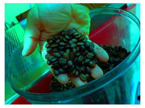 Delicioso café de grano