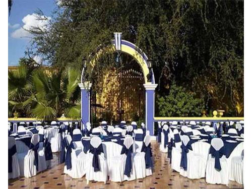 Organización a detalle