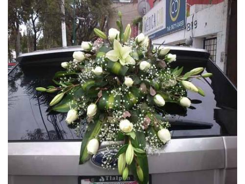 Arreglo en la parte de atras