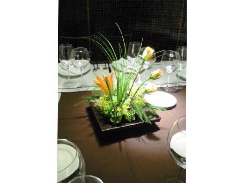 Pequeños y minimalistas