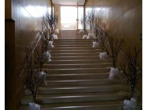 Decoración en escaleras