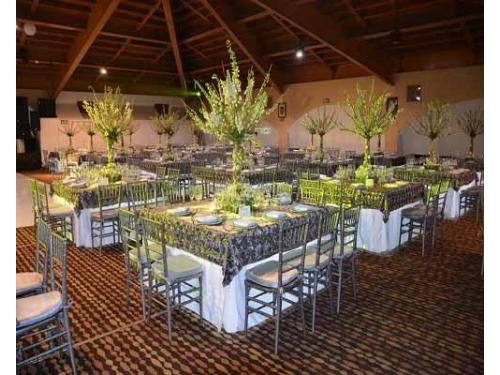 Panoramica de mesas decoradas con centros de mesa hermosos