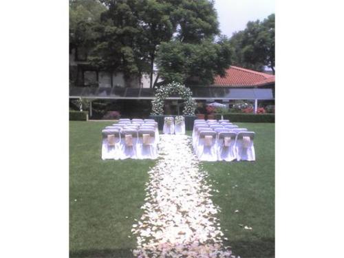 Pétalos en el pasto