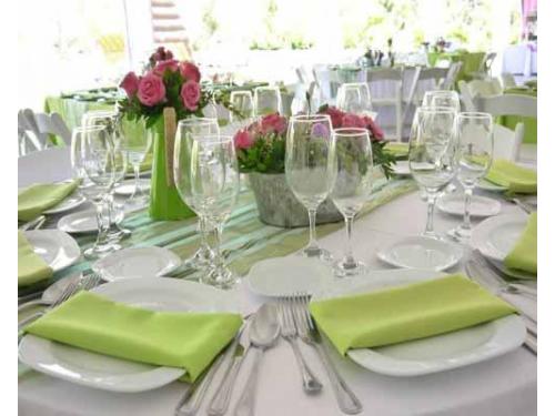 Colores verdes y rosas