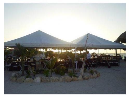 Le darán el toque especial a tu boda