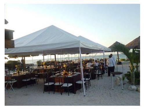 Gran variedad de carpas