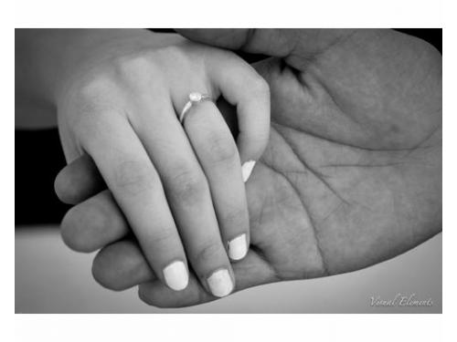 Sólo las mejores tomas