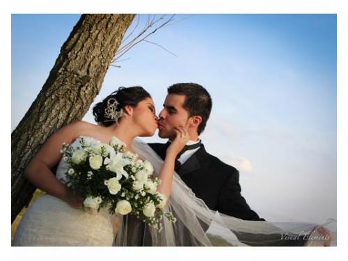 Fotografías elegantes