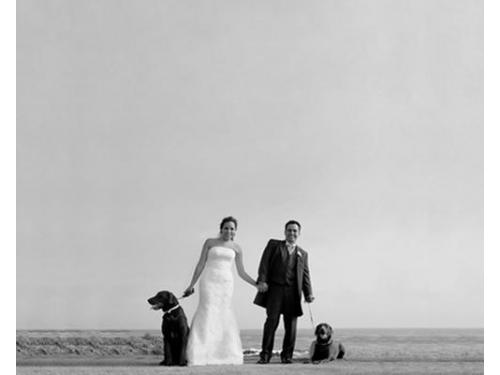 Enmarcamos el dia más feliz de tu vida