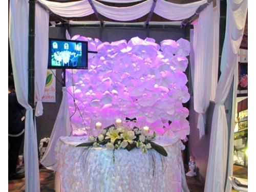 Gazebo mesa de novios
