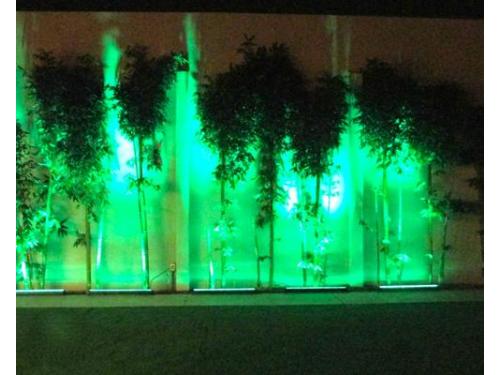 Iluminación color verde