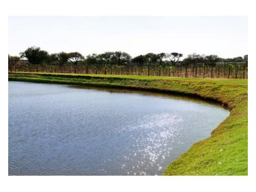 Lago y preciosos jardínes