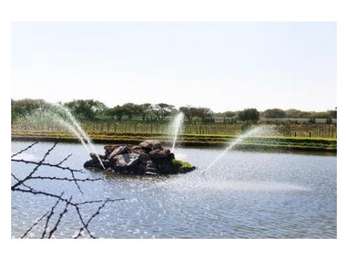 Lago con fuente natural
