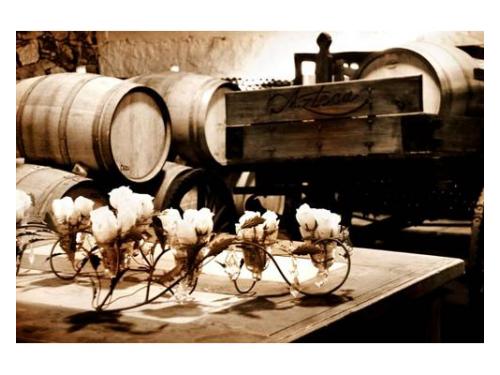 Amplia selección de vinos