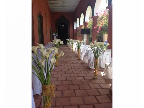 Tu boda en hacienda santa lucia