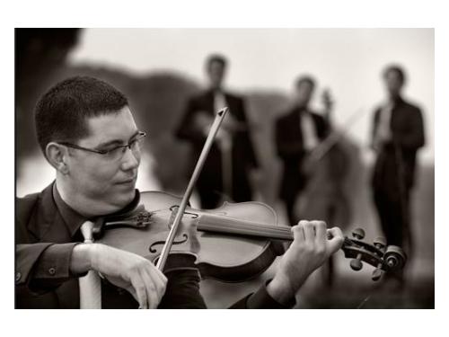 Violinistas profesionales para una entrada majestuosa