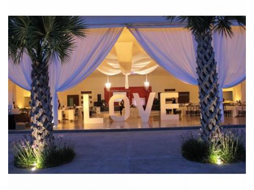 Entelado, candiles y letras