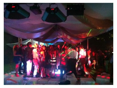 Animación por profesionales