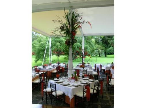 Montaje en patio para tu boda