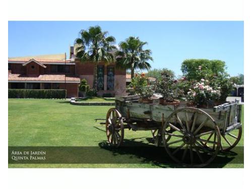 Área de jardín quinta palmas