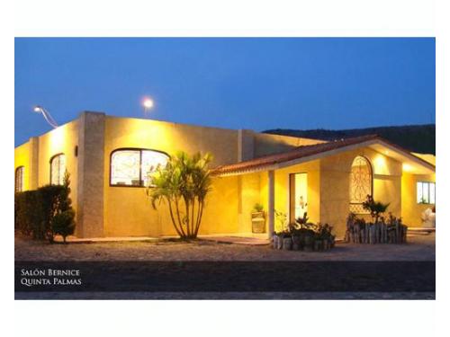 Salón berenice quinta palmas