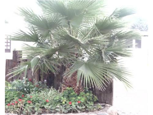 Espectaculares espacios