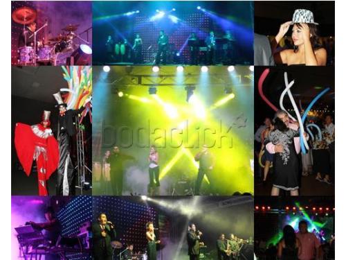 Músicos profesionales