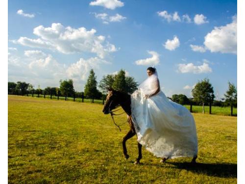 Calidad en la imagen